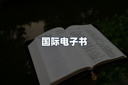 国际电子书